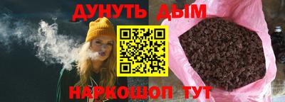 индика Ирбит
