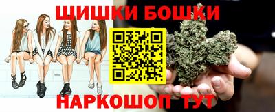 прущие грибы Изобильный